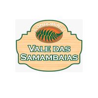 logo-vale-samambaia